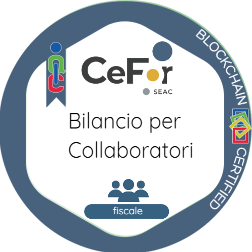 Bilancio per Collaboratori